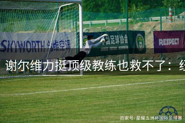 谢尔维力挺"顶级教练"也救不了：纽卡斯尔与埃迪·豪分道扬镳